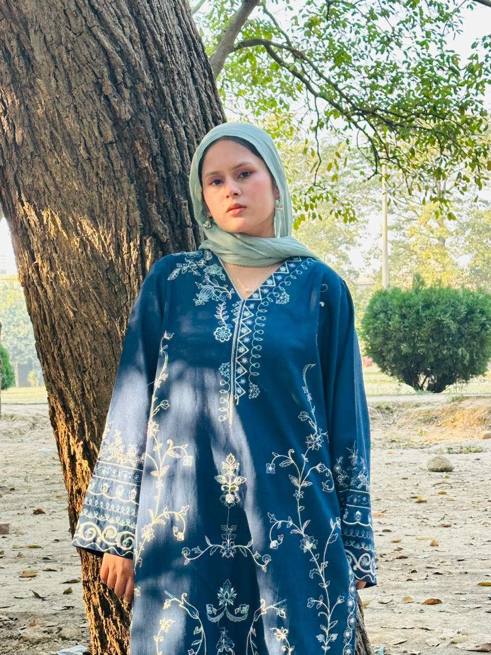 Amal's Blue Embroidered Stitched CO-ORD Set